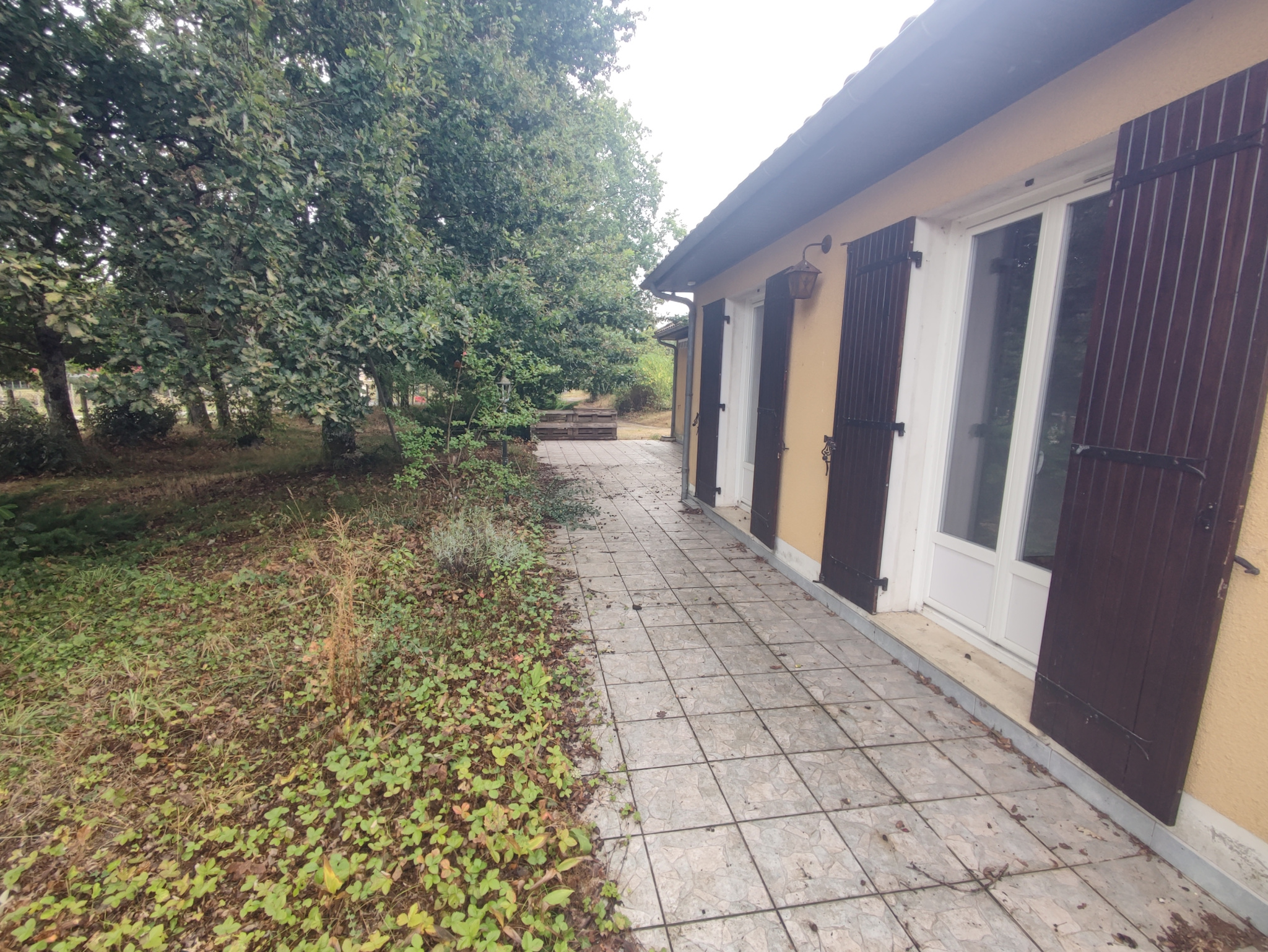 Agence immobilière de IMOSEO